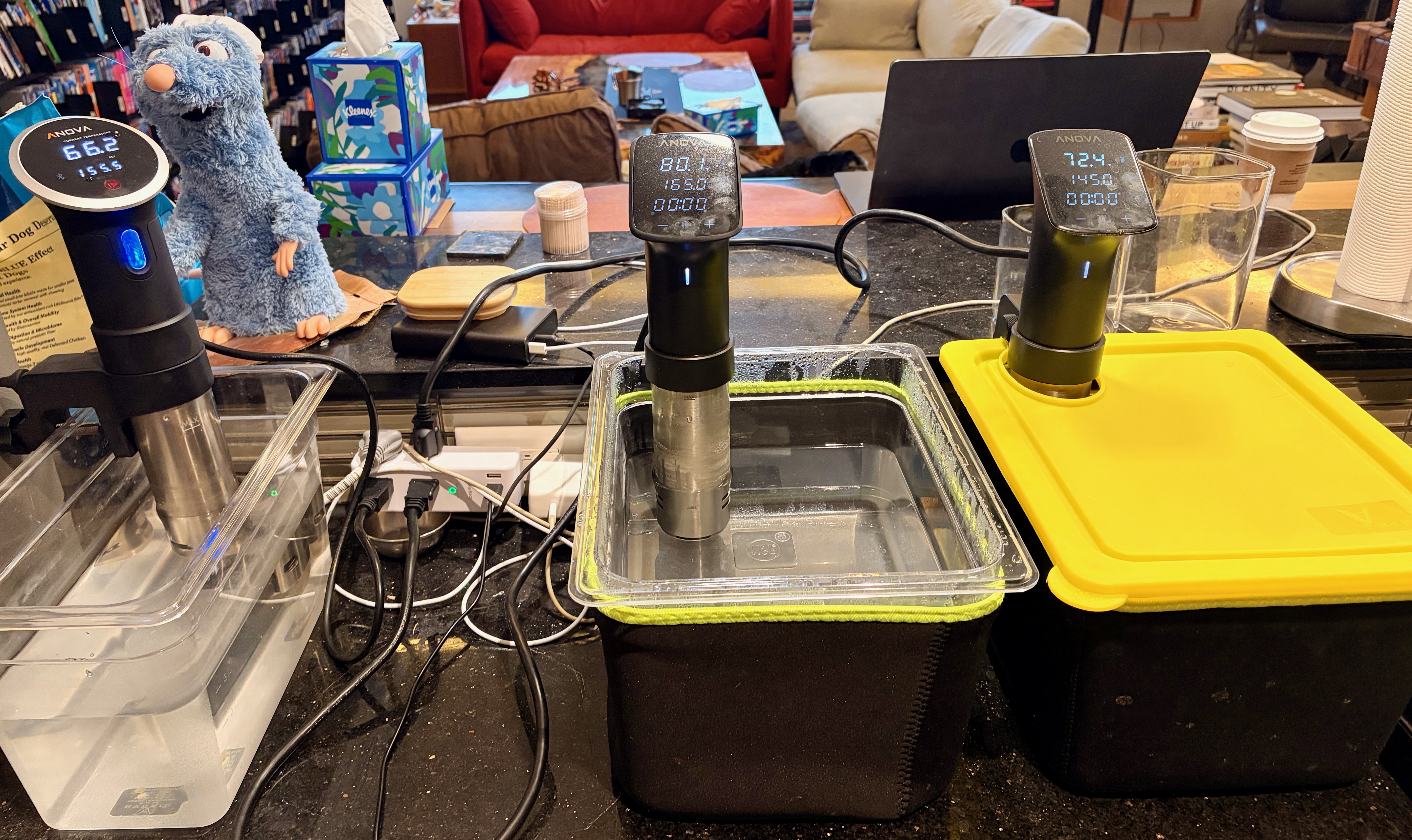 Do I really have 3 sous vide machines? Uh, no, I'm holding a couple of these for my girlfriend who lives in Canada...